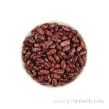 Kidney Beans Breakfast